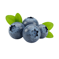 nuevo-amanecer-home-professional-fruit-grading-desktop