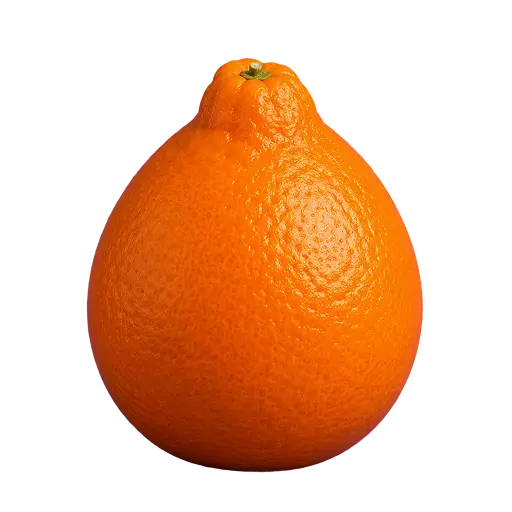 nuevo-amanecer-catalogo-frutas-de-exportacion-desktop