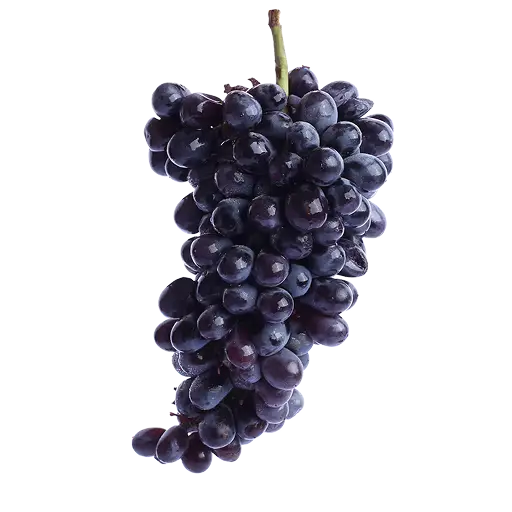 nuevo-amanecer-catalogo-herencia-fruticola-desktop