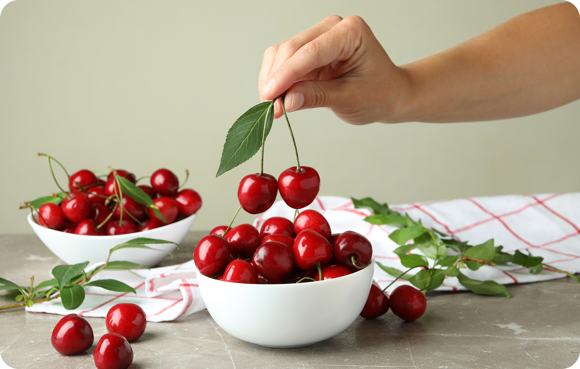 nuevo-amanecer-nosotros-b2b-fruit-market-analysis-desktop