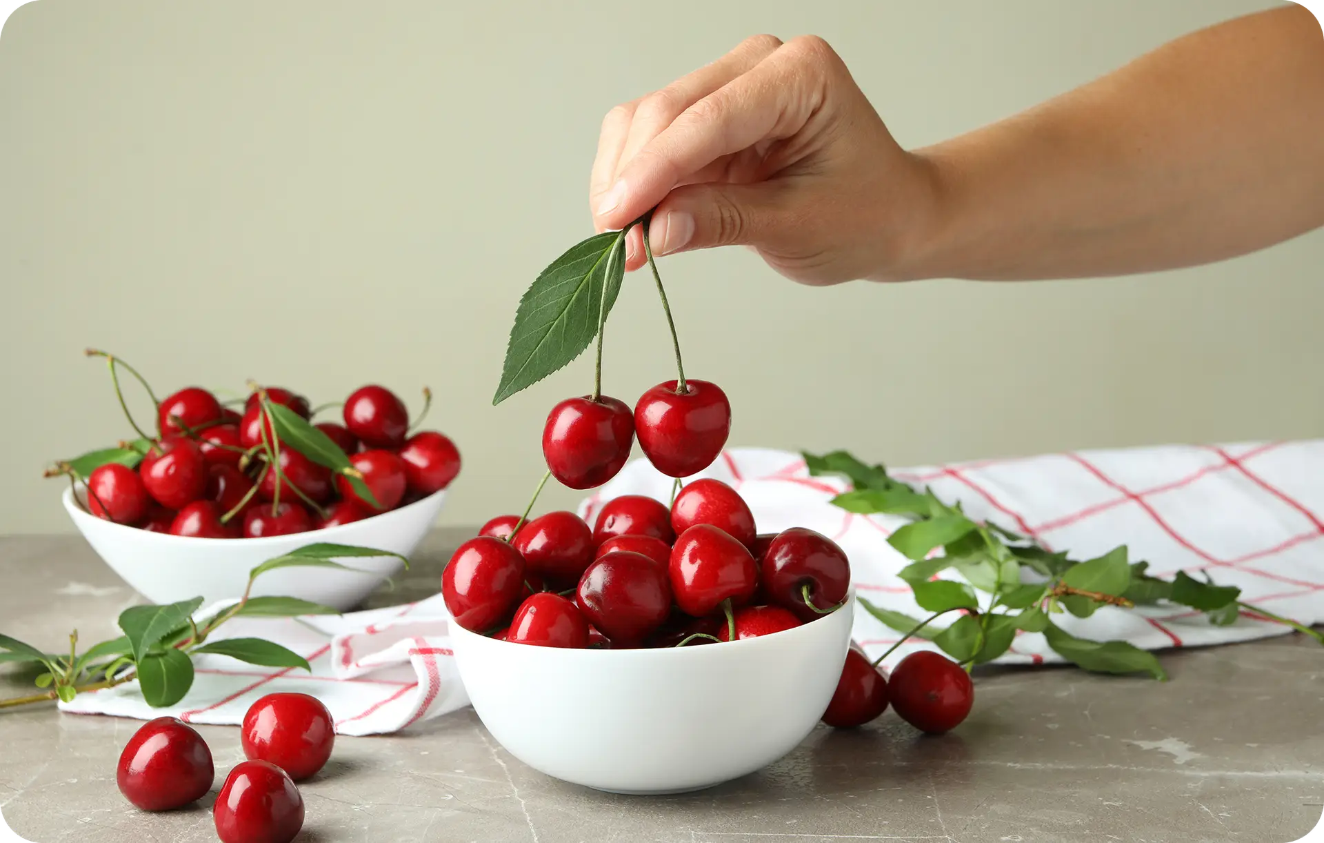 nuevo-amanecer-nosotros-b2b-fruit-market-analysis-desktop